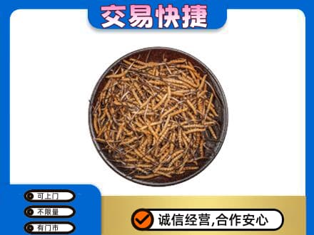 伊春市铁力礼品回收虫草.jpg