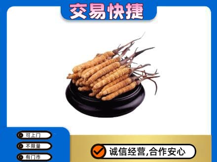 伊春市铁力礼品回收散虫草.jpg